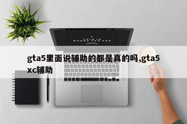 gta5里面说辅助的都是真的吗,gta5xc辅助