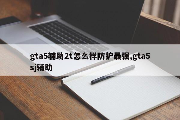 gta5辅助2t怎么样防护最强,gta5sj辅助