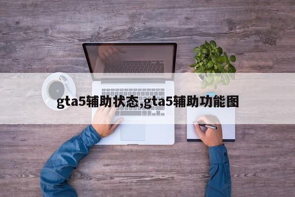 gta5辅助状态,gta5辅助功能图