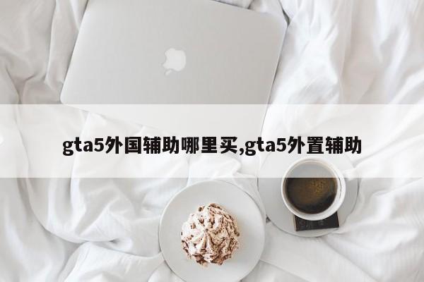 gta5外国辅助哪里买,gta5外置辅助