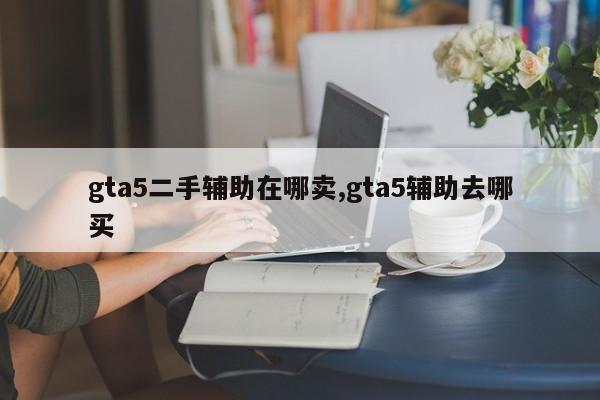 gta5二手辅助在哪卖,gta5辅助去哪买