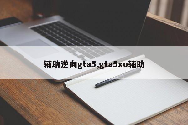 辅助逆向gta5,gta5xo辅助