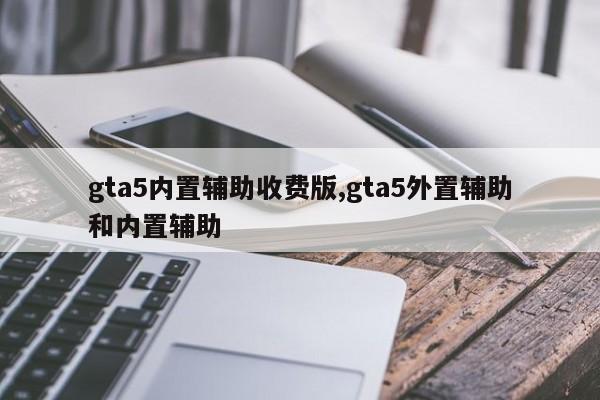gta5内置辅助收费版,gta5外置辅助和内置辅助