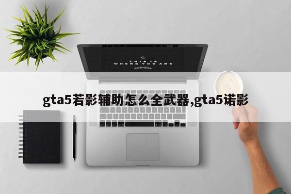 gta5若影辅助怎么全武器,gta5诺影