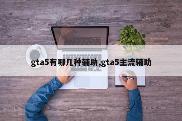 gta5有哪几种辅助,gta5主流辅助